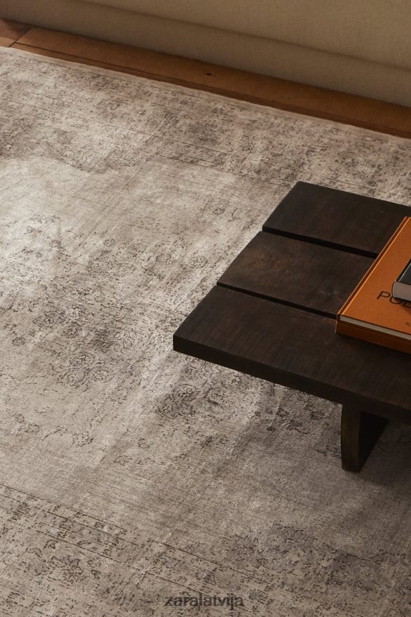 vintage paklājs unisex Zara pelēks 6ZTV401659 Piederumi