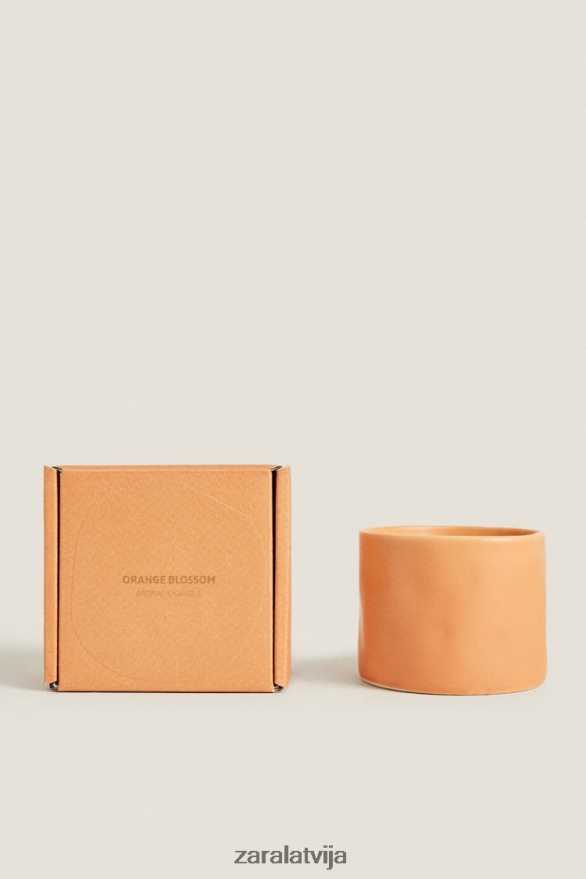 (150 g) ziedu aromātiska svece unisex Zara apelsīns 6ZTV401757 Piederumi