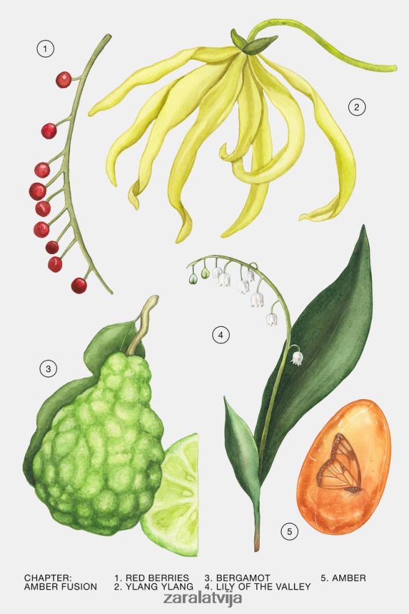 dzintara fusion 30 ml sievietes Zara oriģināls 6ZTV40780 Piederumi