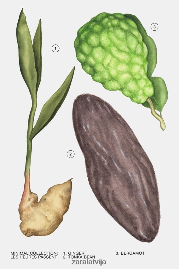 les heures passent 30 ml sievietes Zara oriģināls 6ZTV40794 Piederumi