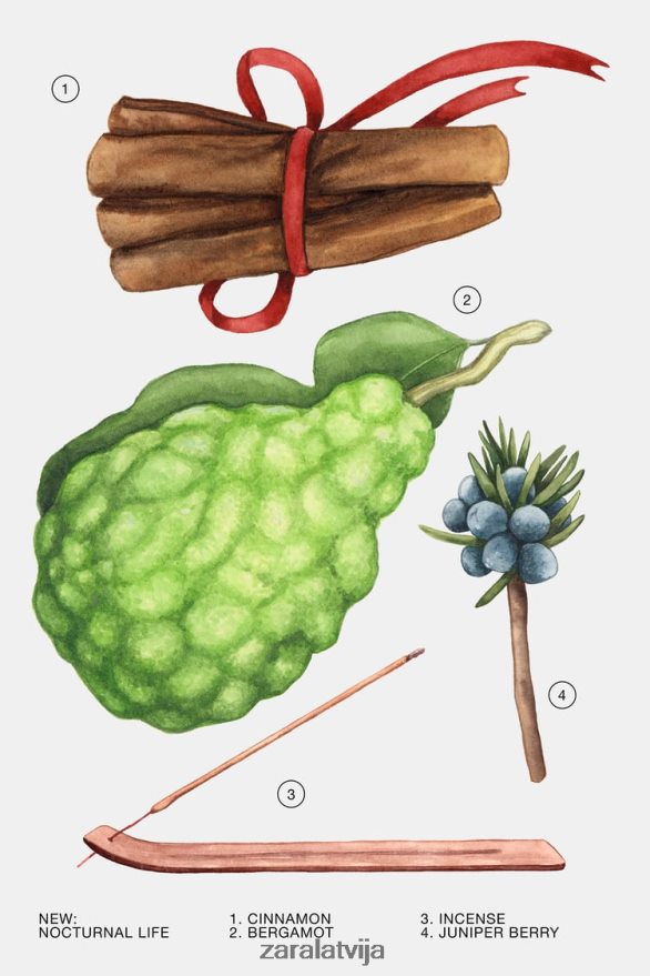 nakts dzīve 80 ml (2,7 fl. oz) sievietes Zara oriģināls 6ZTV40770 Piederumi