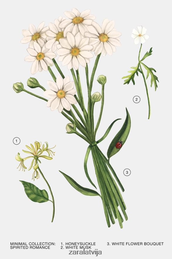 noskaņota romantika 30 ml sievietes Zara oriģināls 6ZTV40796 Piederumi