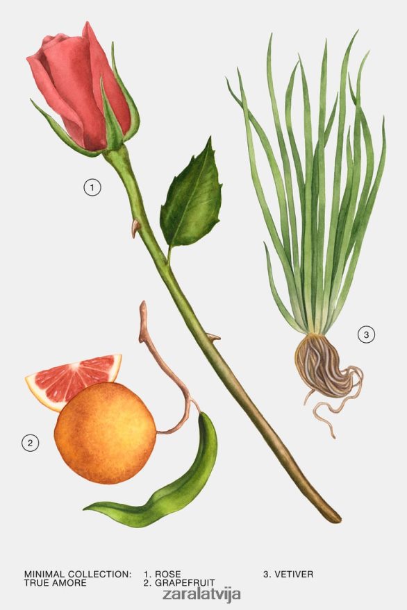 patiesais amors 30 ml sievietes Zara oriģināls 6ZTV40788 Piederumi