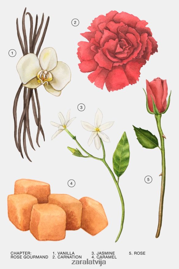 rožu gardēdis 80 ml sievietes Zara oriģināls 6ZTV40783 Piederumi