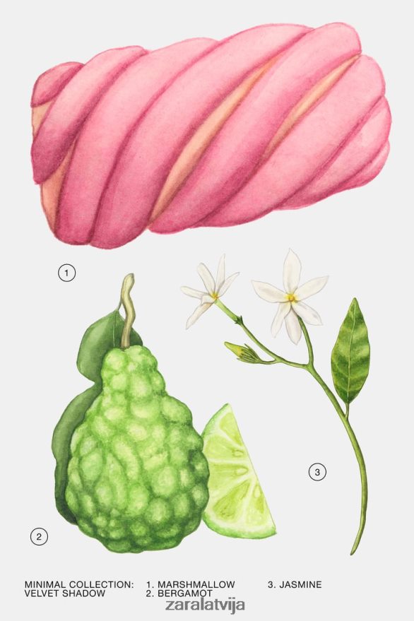 samta ēna 100 ml sievietes Zara oriģināls 6ZTV40792 Piederumi