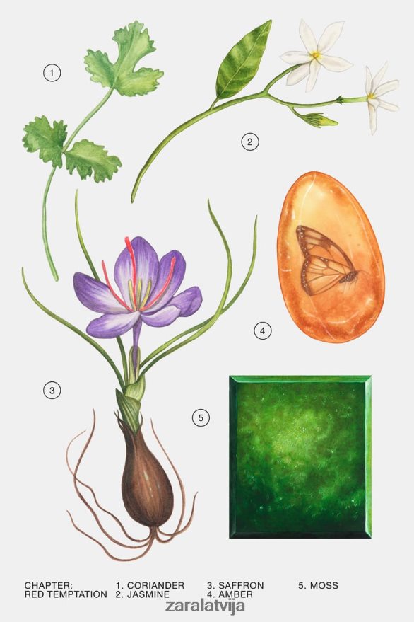 sarkans kārdinājums 80 ml sievietes Zara oriģināls 6ZTV40772 Piederumi