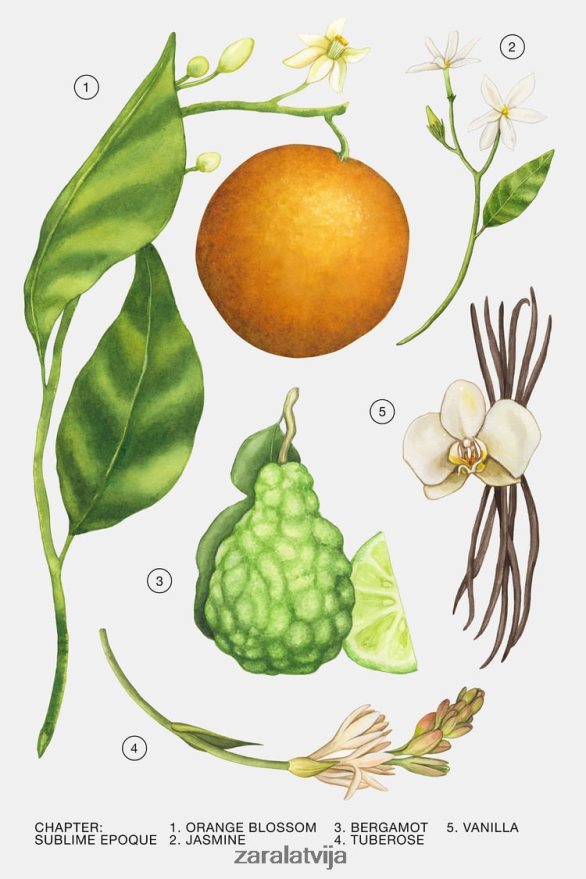 sublime epoque edp 80 ml sievietes Zara oriģināls 6ZTV40781 Piederumi