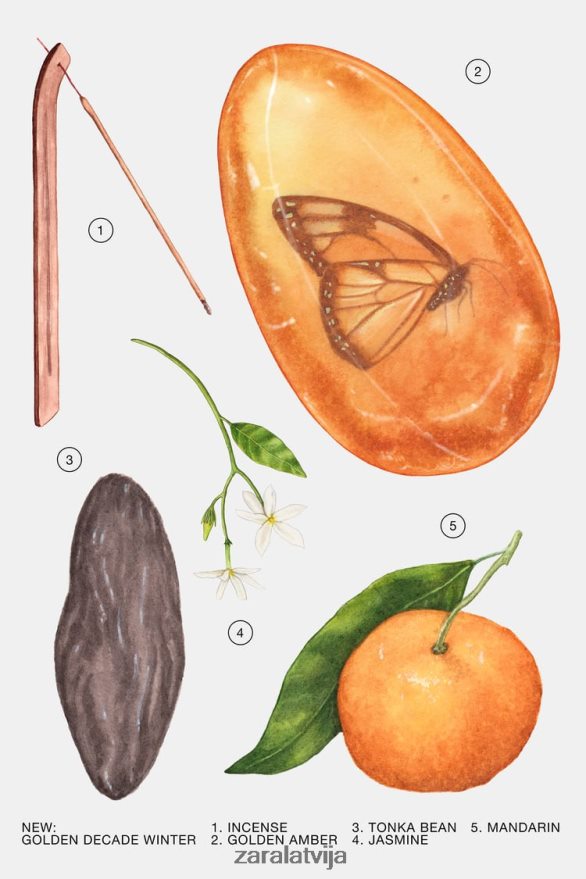 zelta desmitgades ziema 80 ml sievietes Zara oriģināls 6ZTV40771 Piederumi