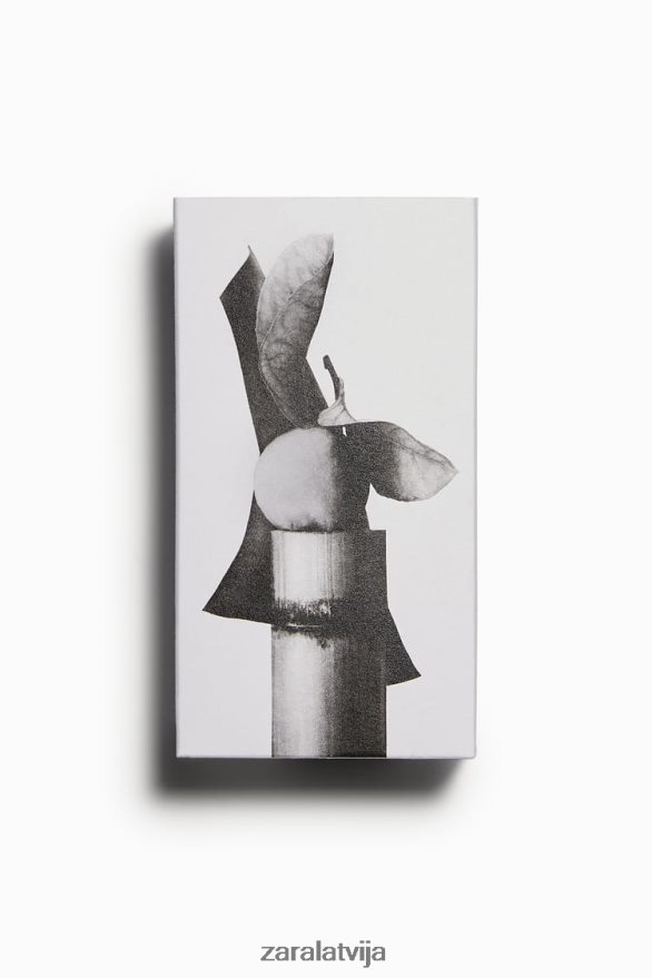 dinamiska āda 100 ml vīriešiem Zara oriģināls 6ZTV401368 Piederumi